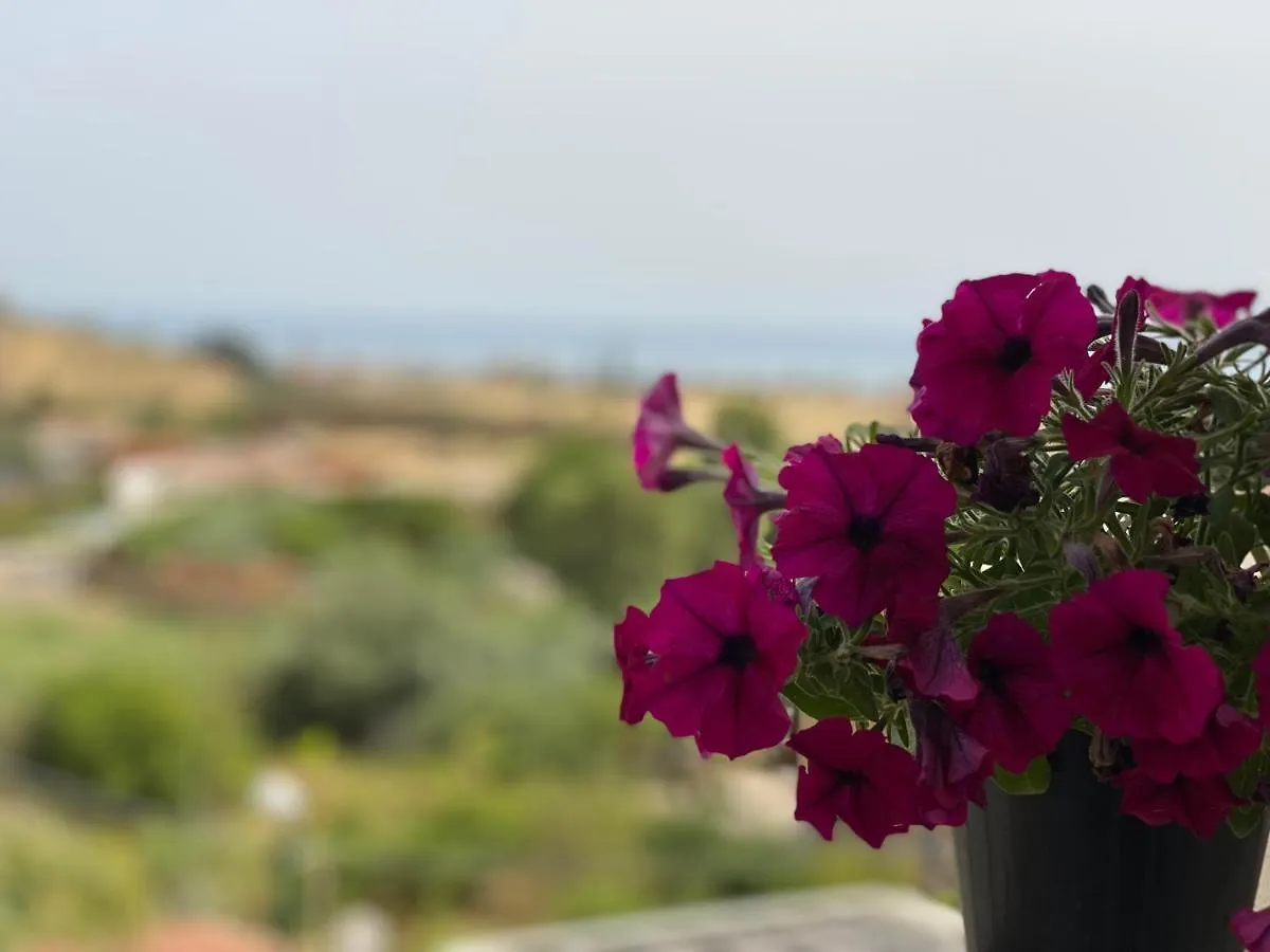 Aquamarine House San Leone Villa Agrigento Holiday home